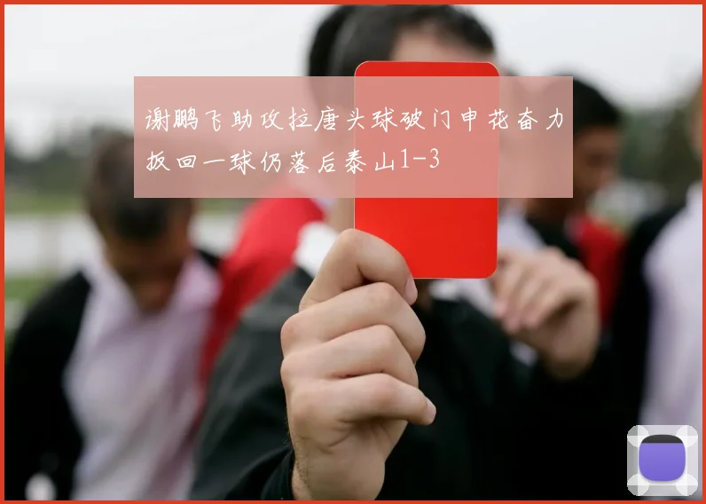 谢鹏飞助攻拉唐头球破门申花奋力扳回一球仍落后泰山1-3