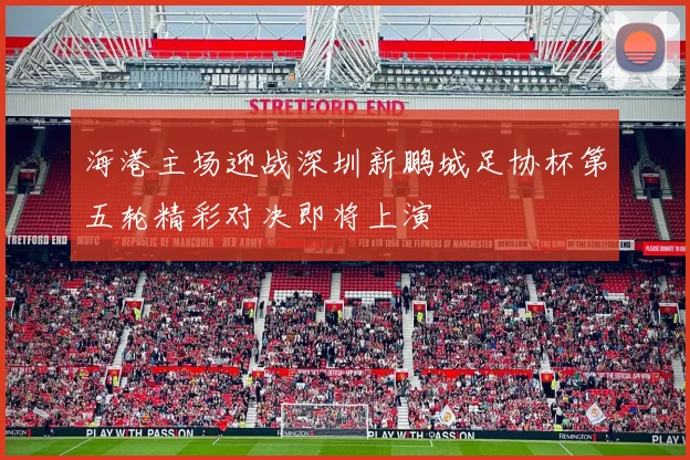 海港主场迎战深圳新鹏城足协杯第五轮精彩对决即将上演