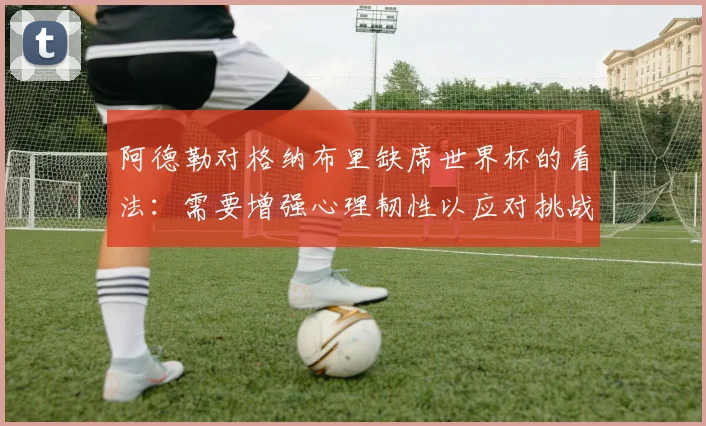 阿德勒对格纳布里缺席世界杯的看法：需要增强心理韧性以应对挑战